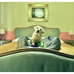 https://bridge-hotel.it-tuscanyhotel.com